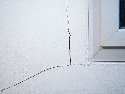 Fissures provoquées par la sécheresse Fissures provoquées par la sécheresse